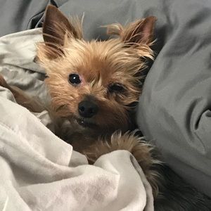 Meet your Posher, Ann